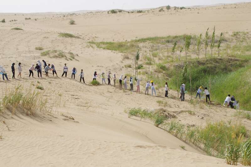 腾格里和巴丹吉林沙漠孕育出绿洲,民勤腾格里沙漠绿洲