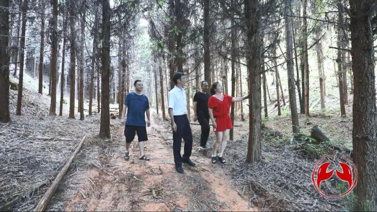 观察丨“青山”可*款贷**变现为“金山”，这个县在全省作出了探索