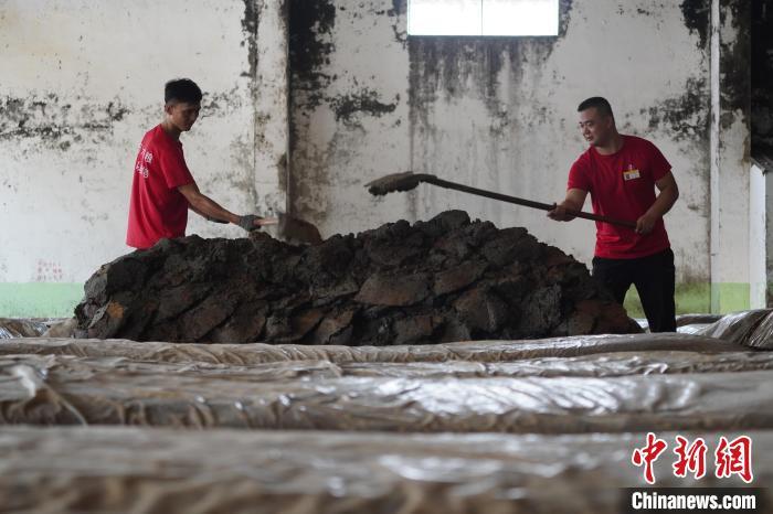 陇南徽县非遗传承,甘肃陇南非遗