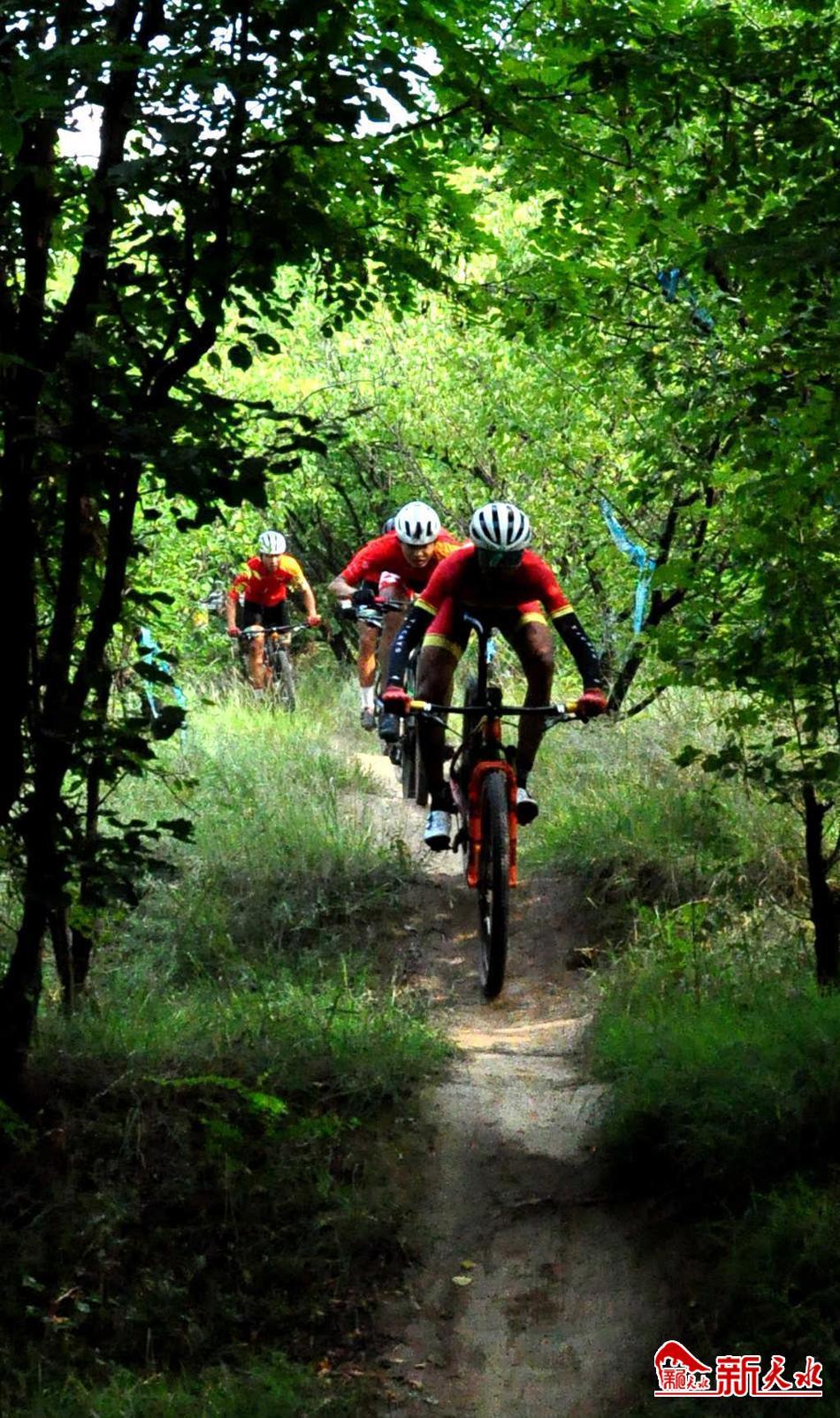 麦积区自行车训练俱乐部,天水体校武术训练照片