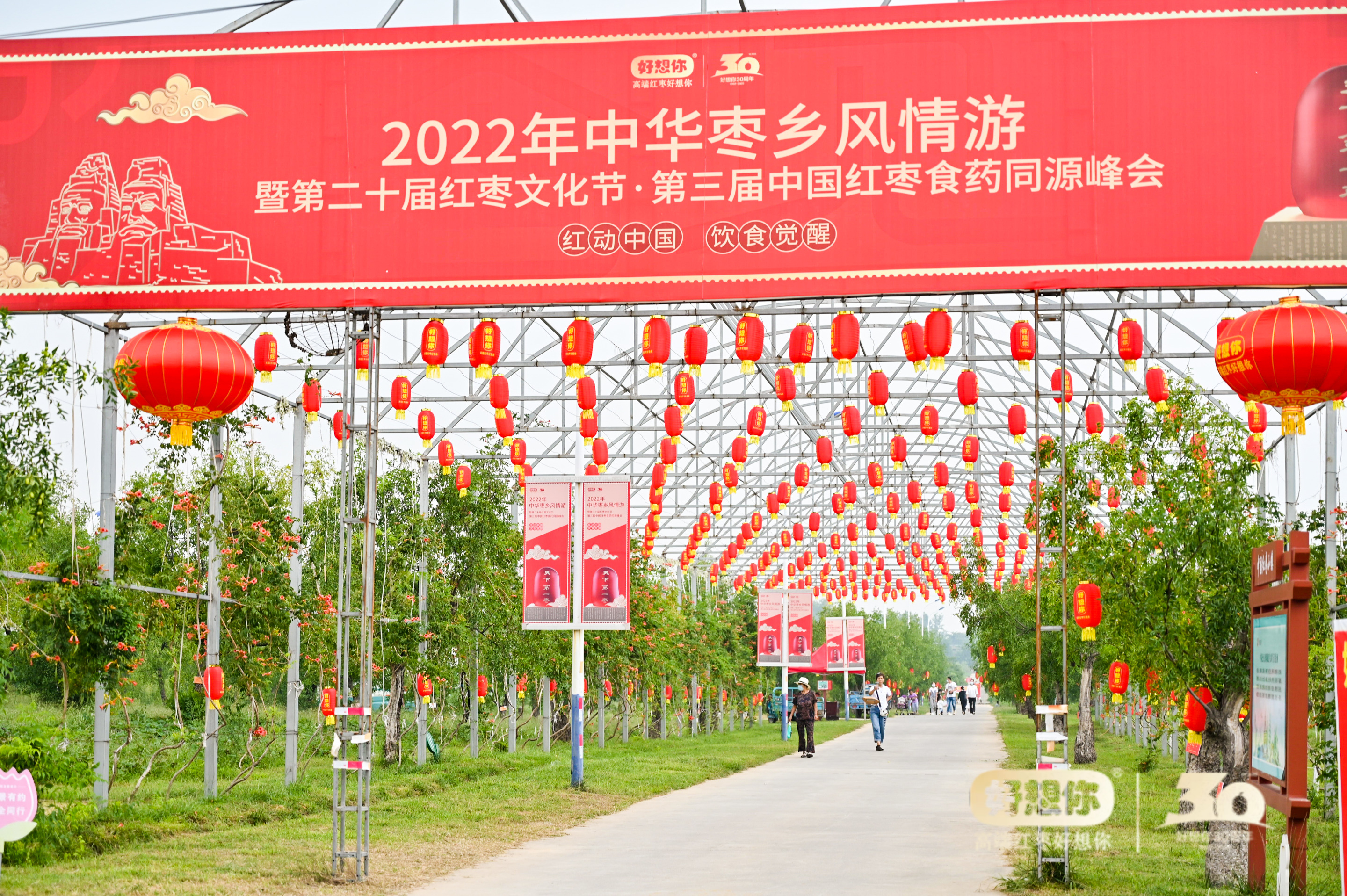 閲戠鍗佹湀绾㈡灒閲囨憳,閲戠鏋ｆ灉閲囨憳鏃堕棿