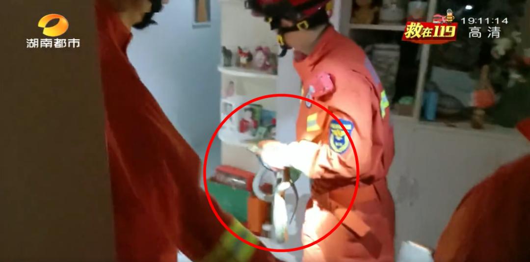 居民凌晨上厕所发现大蛇,凌晨上厕所发现卧室惊现2米大蛇