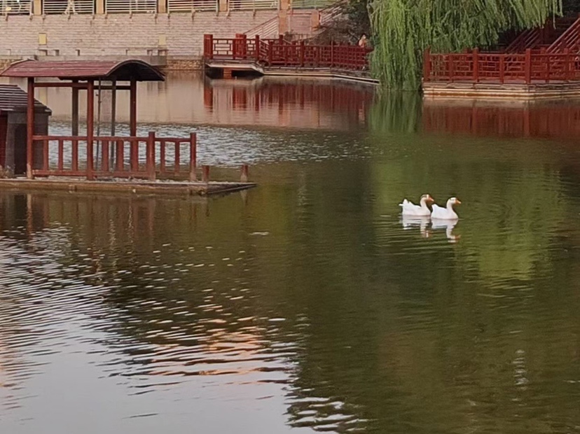 流水走漂的最佳解决方法,对付走水的妙招