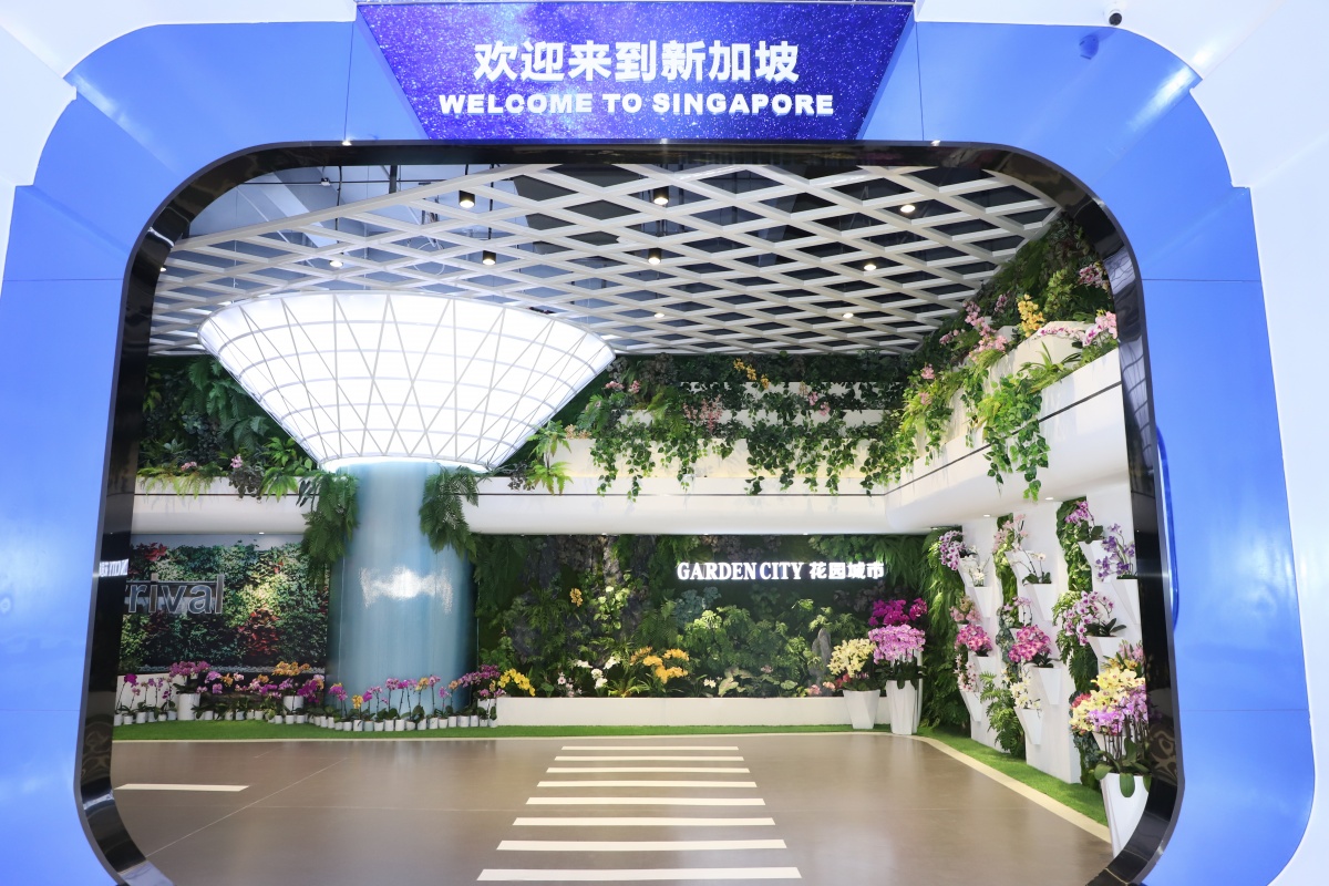 实拍中国东盟博览会,中国东盟商品