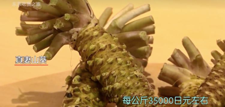 芥末为什么越吃越上瘾,芥末真有那么夸张吗