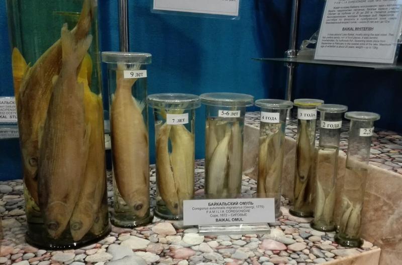 李健贝加尔湖畔的传奇,用心聆听李健贝加尔湖畔