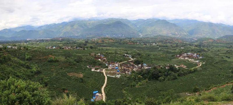 保山小粒咖啡市场前景,保山小粒咖啡专卖店