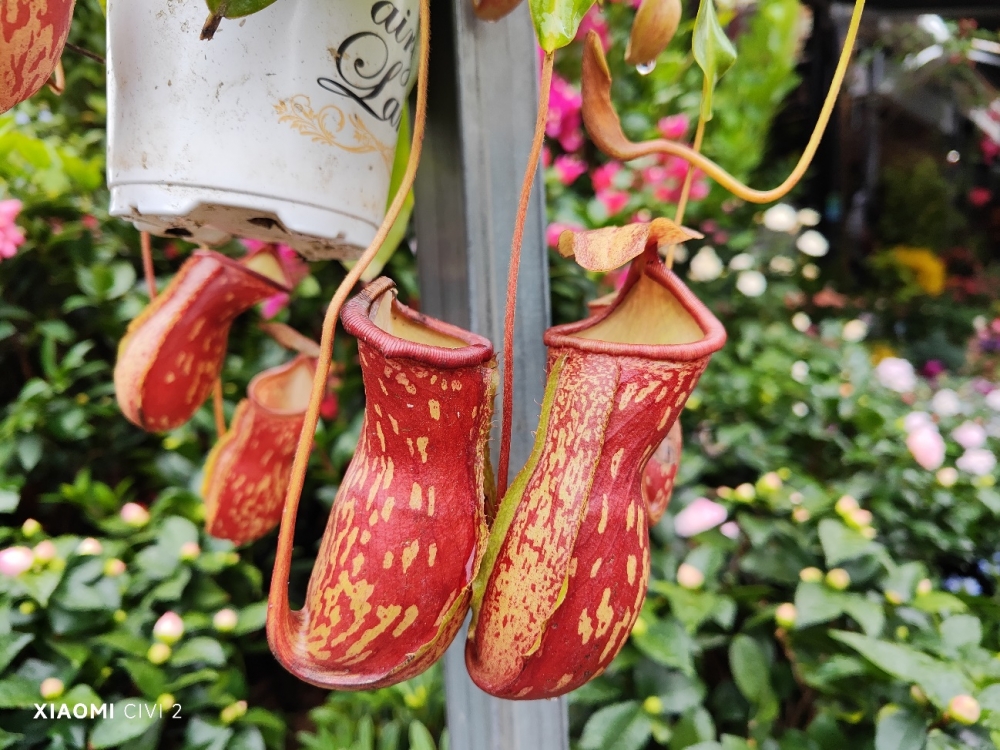 小米civi2最新评测,小米Civi2评测视频