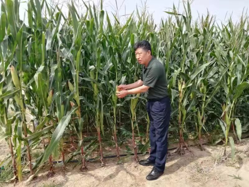 非凡十年砥砺前行,非凡十年农村