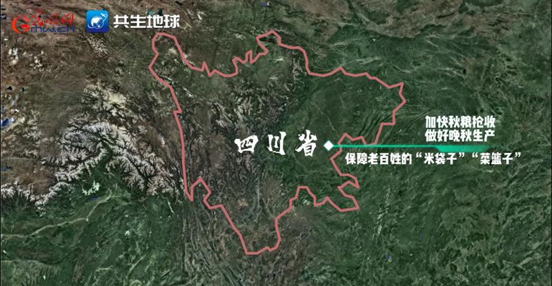 川蜀大地“丰”景正当时