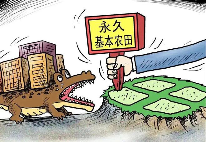 佛山高明两亩鱼塘出租,佛山10亩鱼塘出租需要多少钱