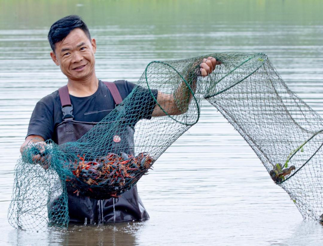 非凡十年乡村变化,非凡十年非凡成就之农业篇
