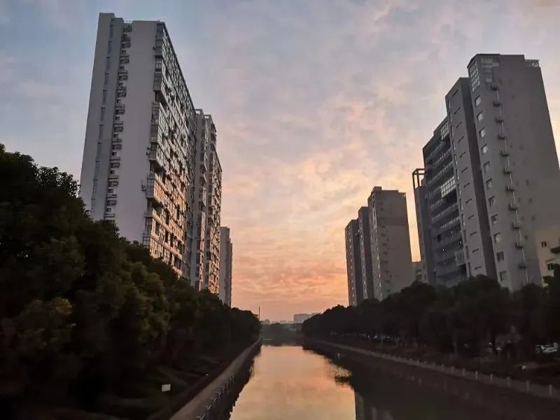 完成进博会服务保障工作,提升进博会服务保障