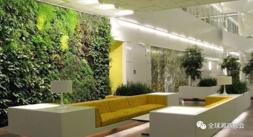 徐记楼,徐记大厦