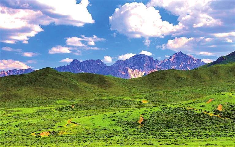 武威走生态优先绿色发展之路,武威市树牢生态发展理念