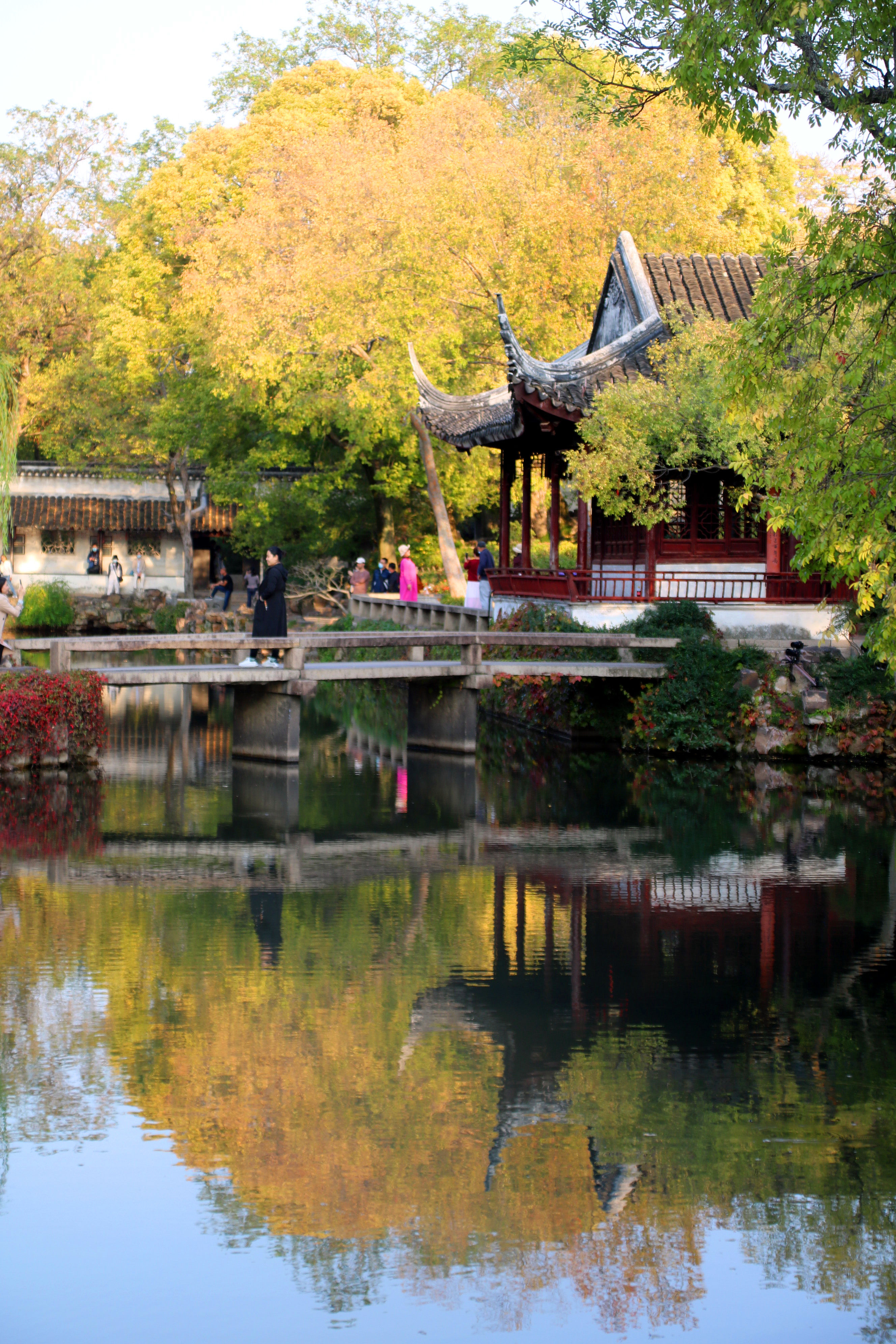 拙政园秋色毕致中,苏州秋色拙政园美景
