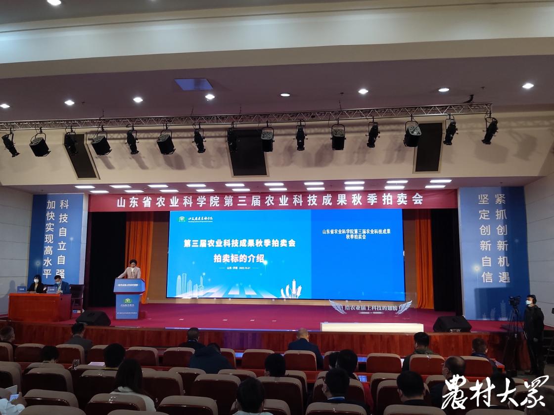 玉米新品种鲁单513,鲁单513玉米新品种