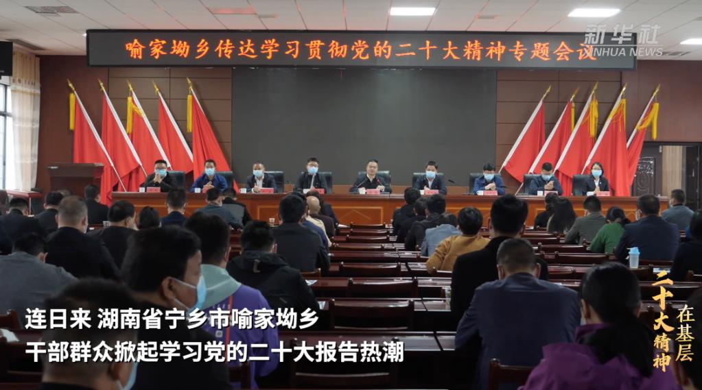 宁乡喻家坳乡栀子小镇,宁乡移动助力栀子小镇