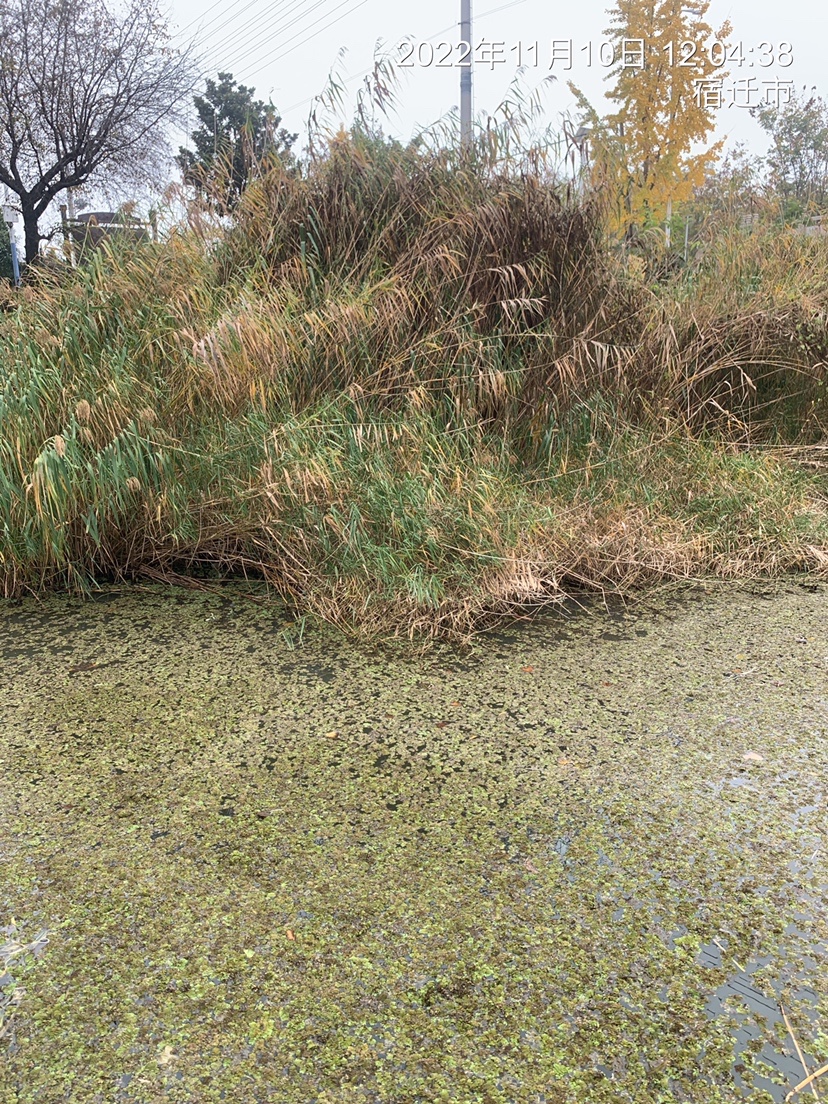 结交天下钓友分享钓鱼人生,跟朋友一起钓鱼技巧