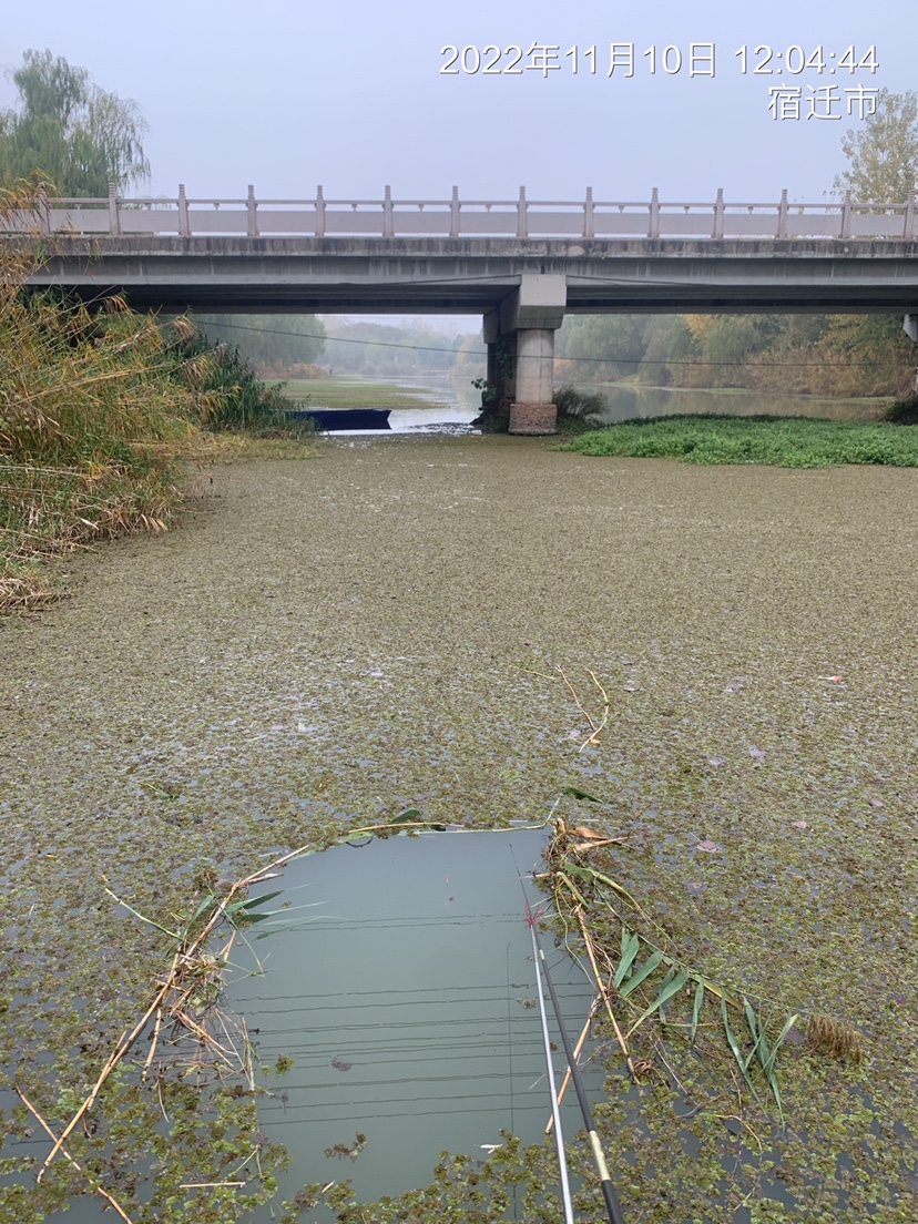 结交天下钓友分享钓鱼人生,跟朋友一起钓鱼技巧