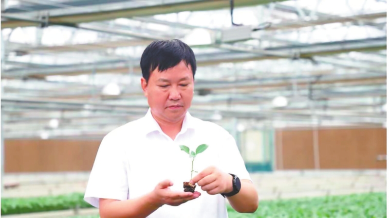 “大国农匠”解锁现代农业青*梦春**想放飞金色田野