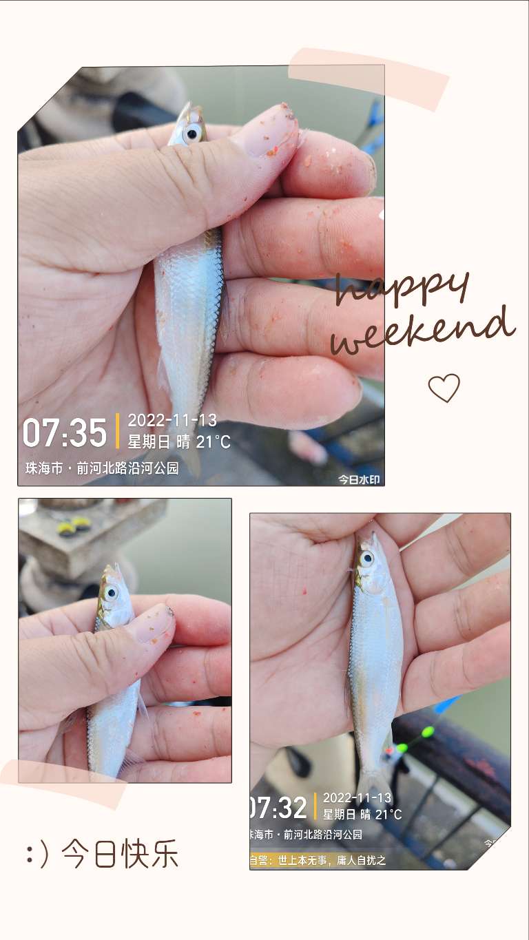 刷新了对钓鱼的认知,钓鱼的十个思维方法