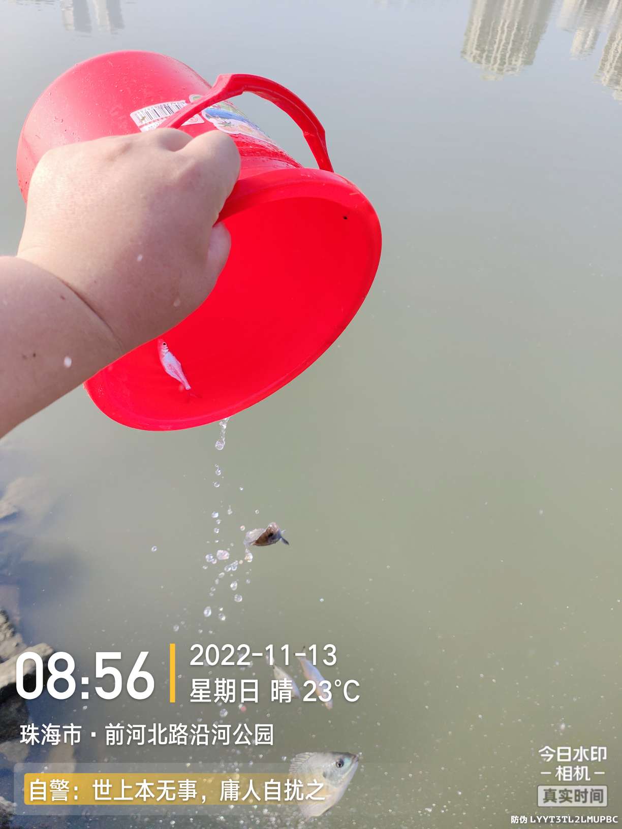 刷新了对钓鱼的认知,钓鱼的十个思维方法