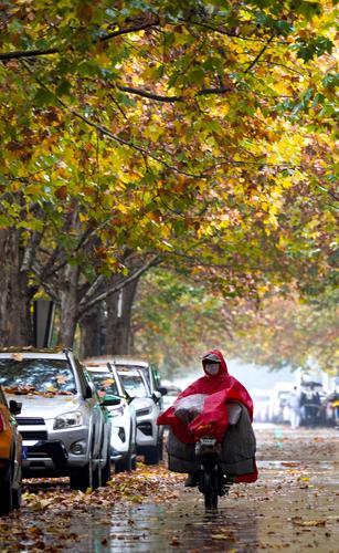 郑州雨中的浪漫,秋天郑州夜晚街头