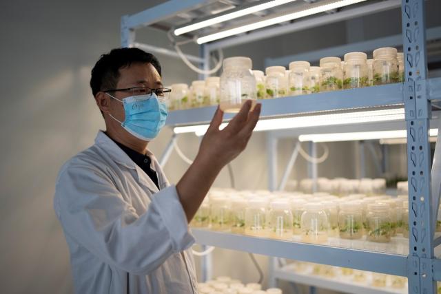 拼多多三季度营收同比增长7倍,拼多多第二季度实现营收314.4亿