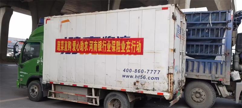 已购蔬菜近40万斤！河南银保监局号召金融机构“以购代扶”助菜农