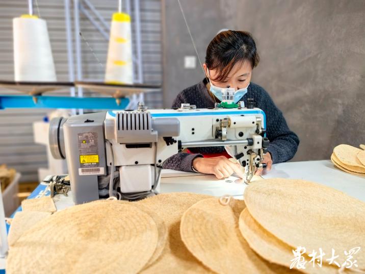 新丝路白玉丝瓜,丝瓜种植年收入8000万