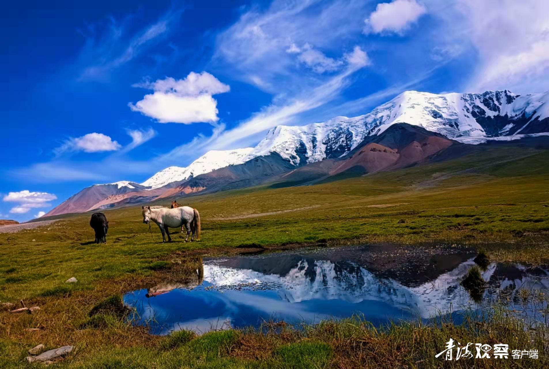 新时代新征程新理想新辉煌,新时代新征程新伟业只争朝夕