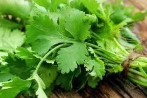 你好幼儿园主题活动方案,你好幼儿园活动