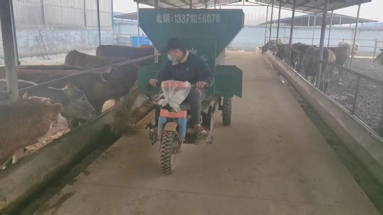 壮大村集体经济临淄探秘｜年增收50万元“一头牛”给金岭南村带来的致富路