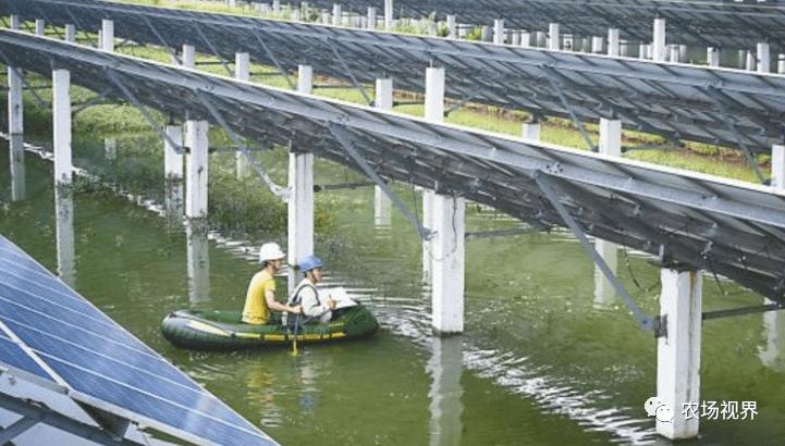 水产养殖新模式有哪些,最暴利的水产养殖方法有哪些