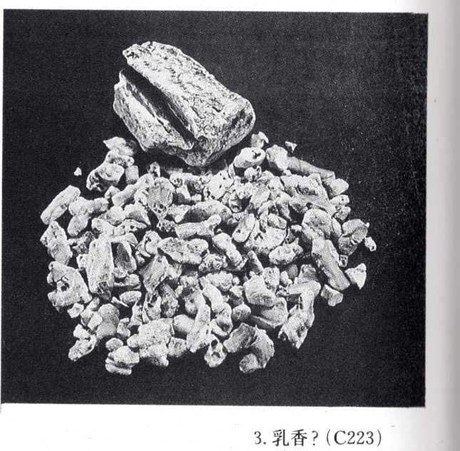 阿拉伯石油丰富的原因,孟晖中东看中国