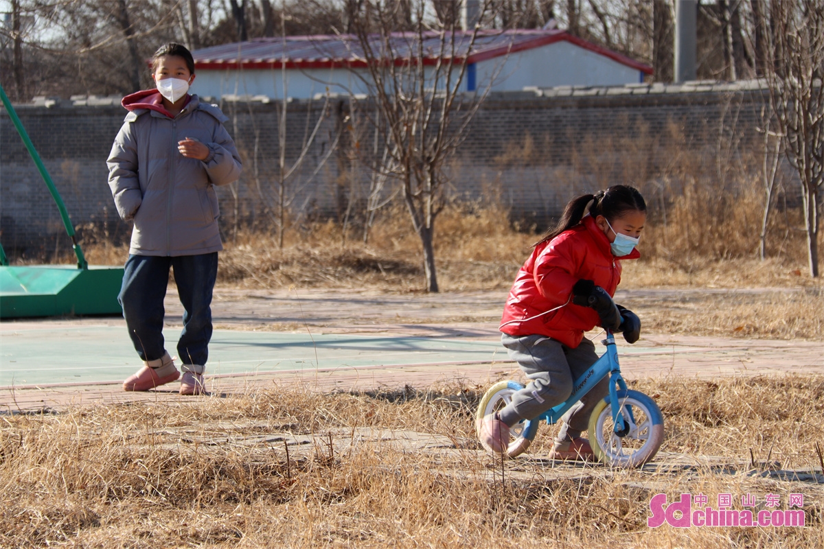 山东聊城乡村风景,聊城美丽乡村绿化石材