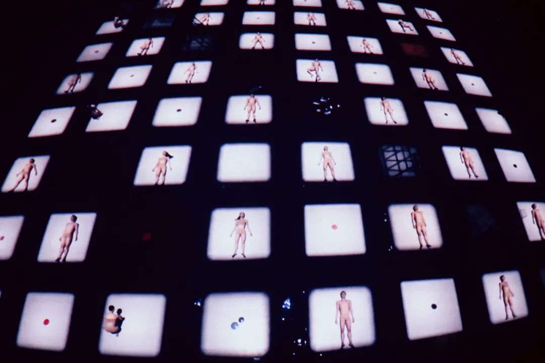 身体为媒，联结万物：五位舞蹈与行为艺术家的创作、行动与意识流｜“创意赋能”论坛回顾