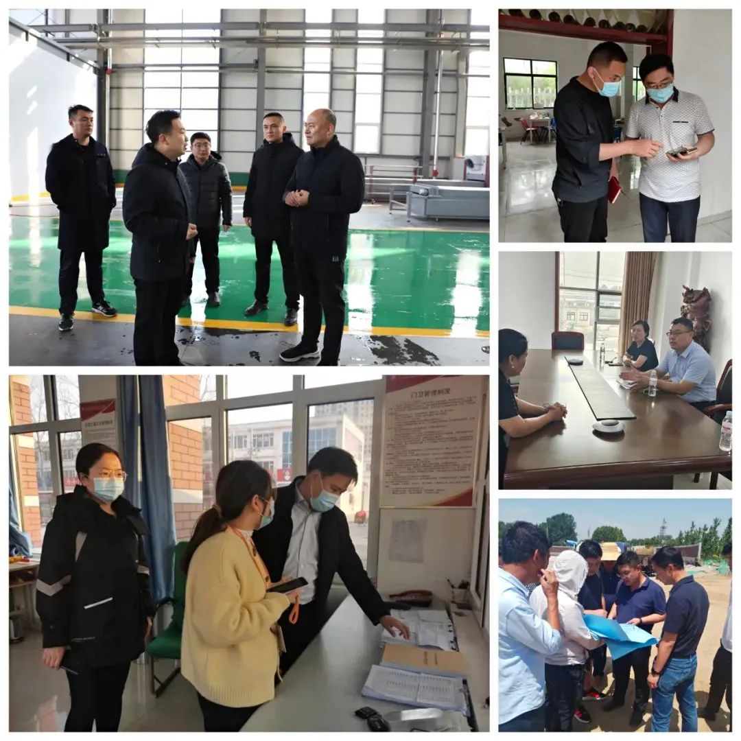 凝心聚力再发力,凝心聚力推进镇域经济高质量发展