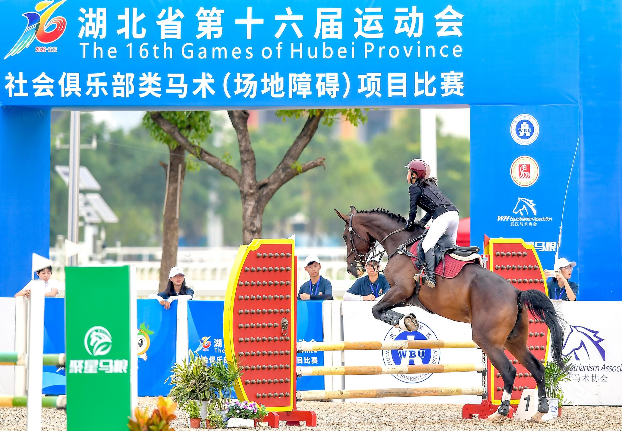 2022湖北体坛十大新闻