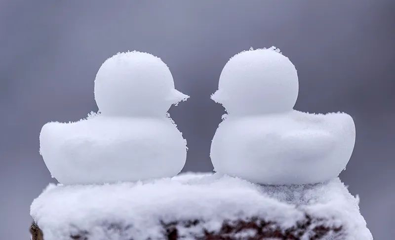 兔年每月有几个节气,兔年1月份日历