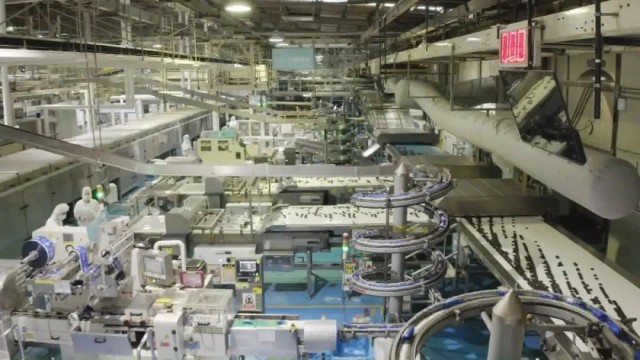 世界最大饼干工厂,国内最大饼干工厂