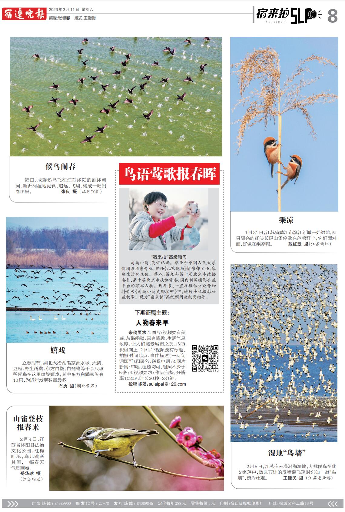 悠悠寸草心报春晖,谁言寸草心报春晖