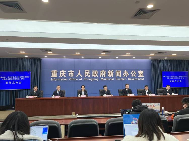 重庆新型农业融资担保,重庆市普惠金融政策