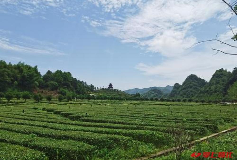 此心安处是吾乡央视,此心安处是吾乡毛笔书法