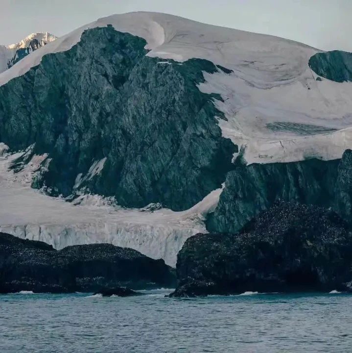 谁花了20万去南极找罪受？？