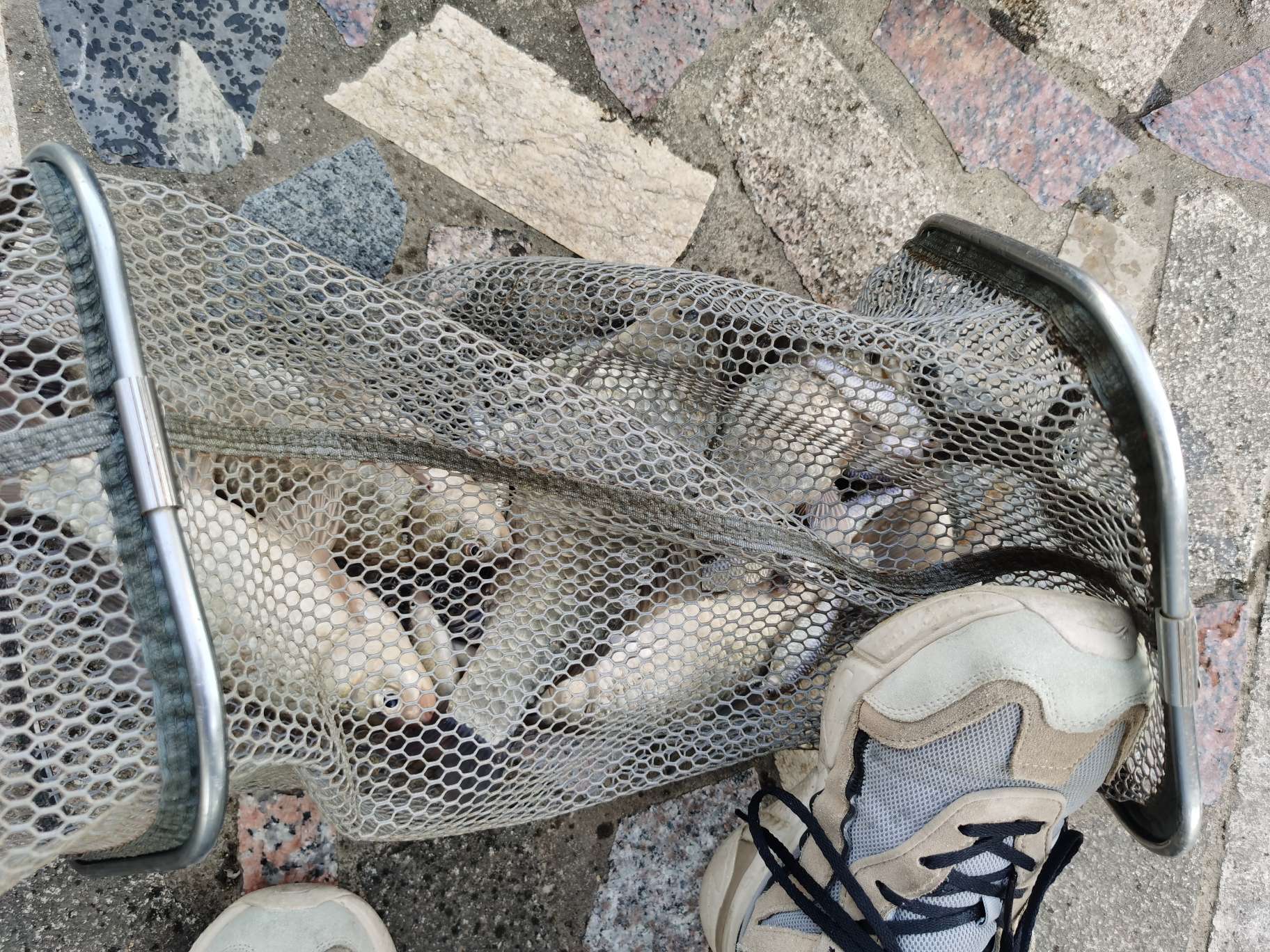 无双鲤刚劲版钓鱼竿,无双鲤典藏版鱼竿什么样