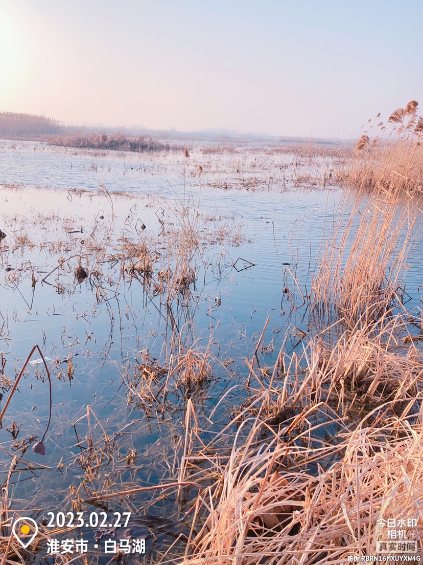 白马湖禁止钓鱼吗,白马湖朝阳河禁钓吗