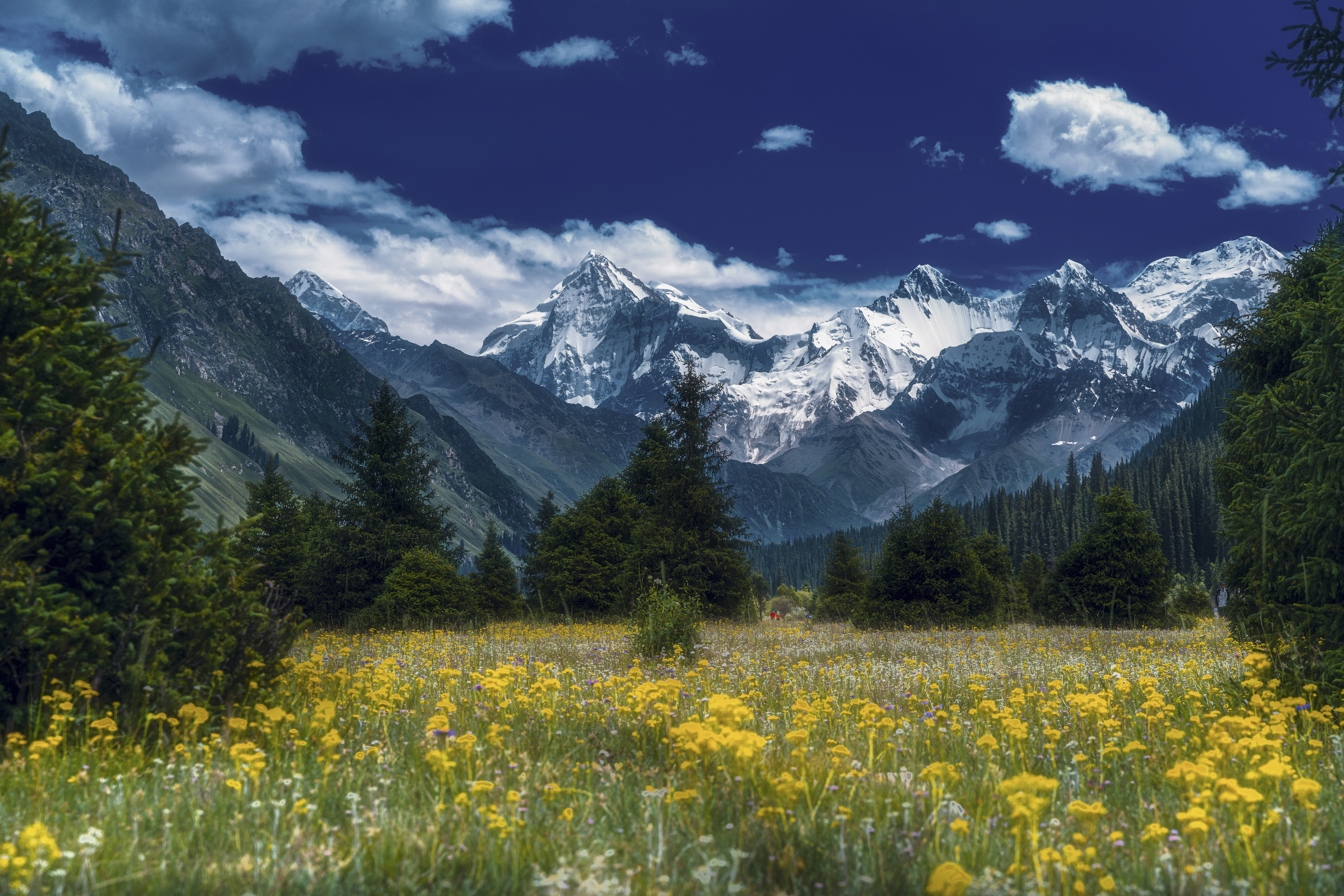 风景摄影大赛欣赏,国际风景摄影大赛金奖作品