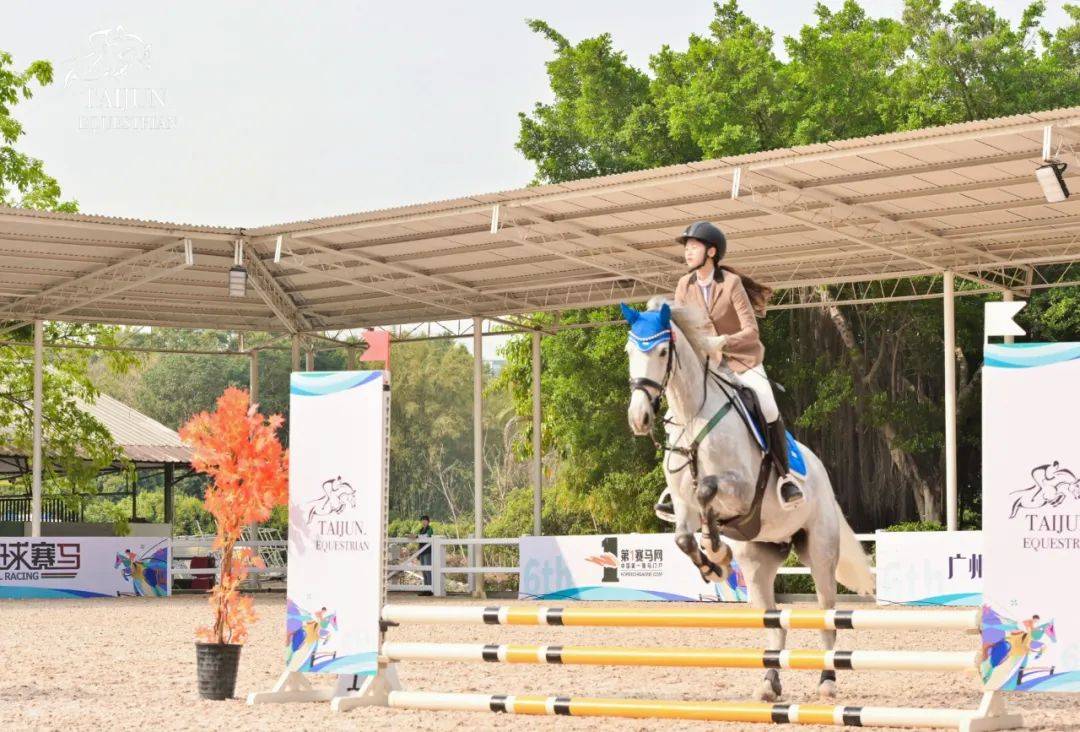 泰骏、金伯乐等分获冠军,2023广东马术联赛第二站圆满结束!